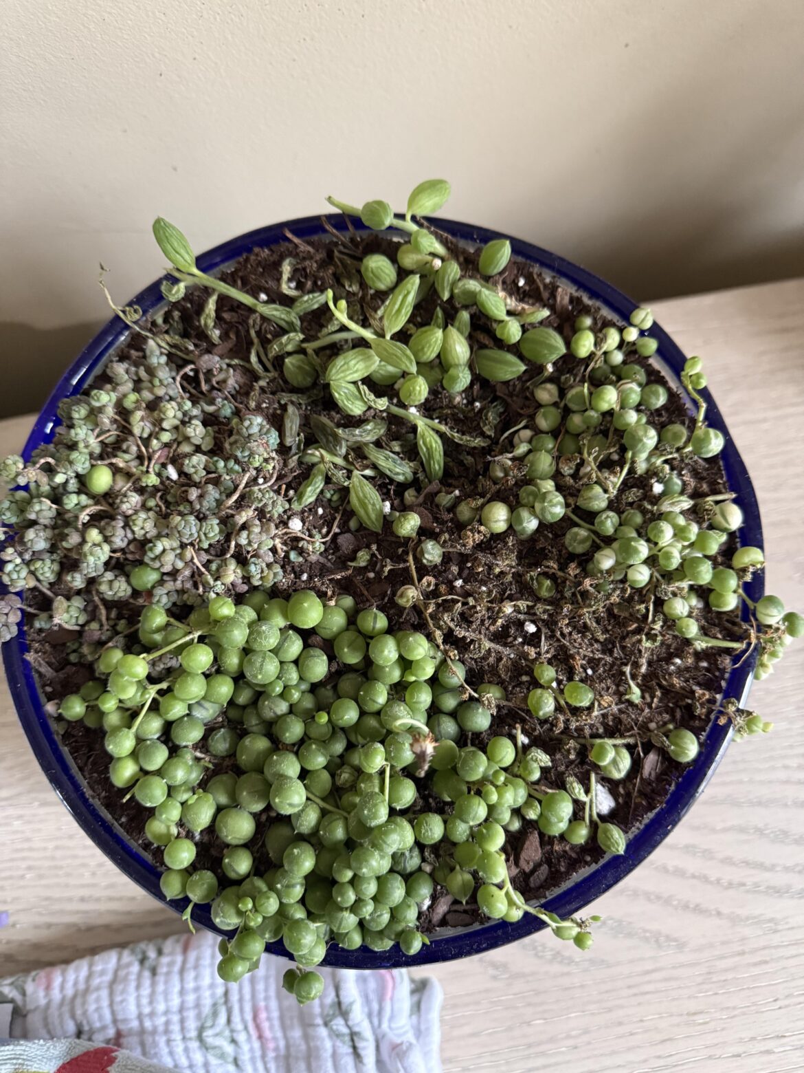 Please help, be ruthless.