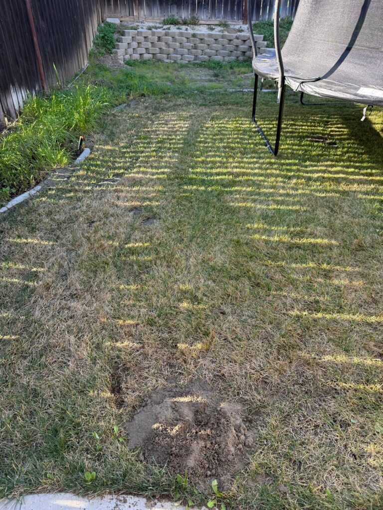 Step by step help (SoCal Zone 9b)