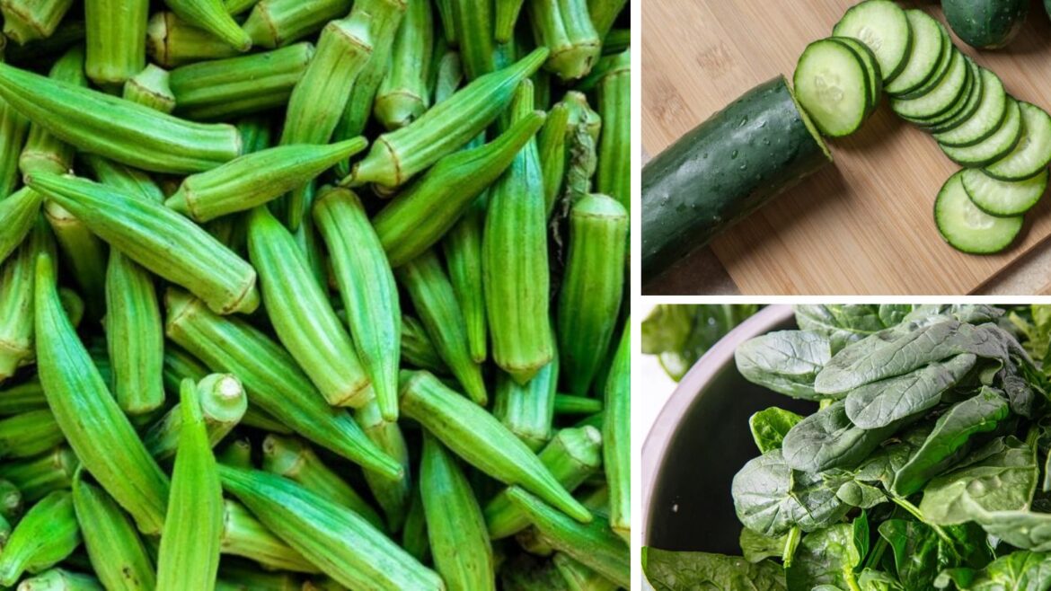 7 Vegetables to Grow in March for a Healthy and Productive Home Garden
