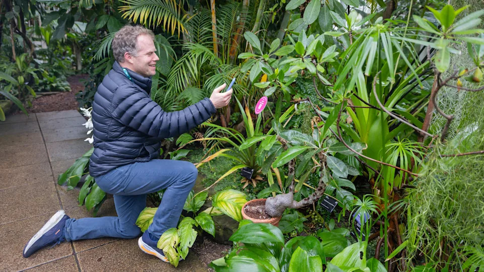 Prof Sam Brockington holding up a blue mobile phone while "talking" to several green plants. He is kneeling down, with one outstretched arm, wearing a blue coat, blue trousers and he has short curly hair. He is smiling. 