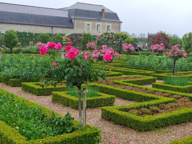 Whatever the weather, flashes of colour brighthen the stunning gardens by the Chateau de Villandry.