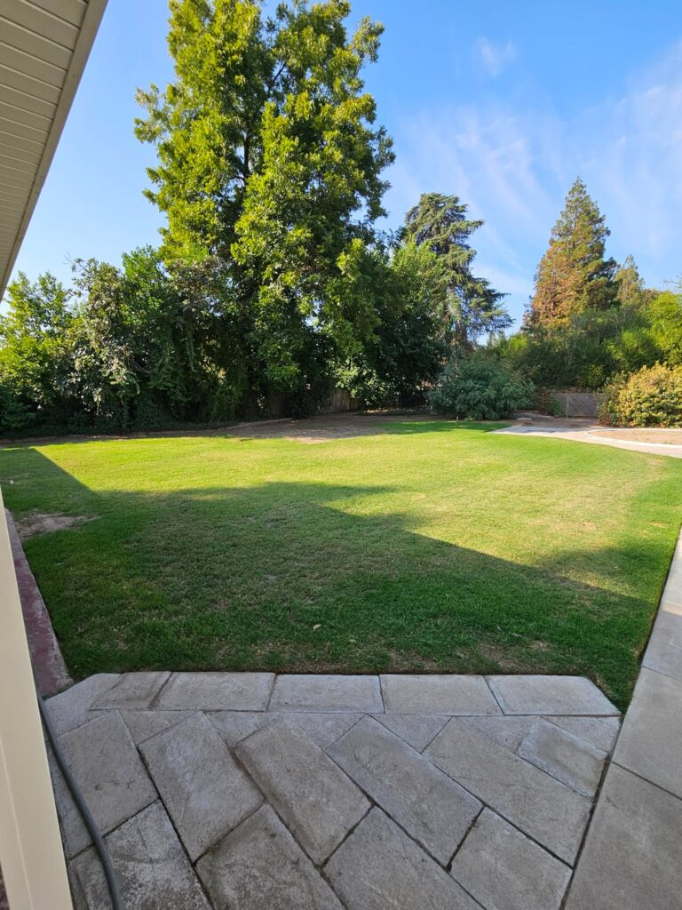 Bought my house 4 months ago and have done zero lawn maintenance aside from raking some leaves...