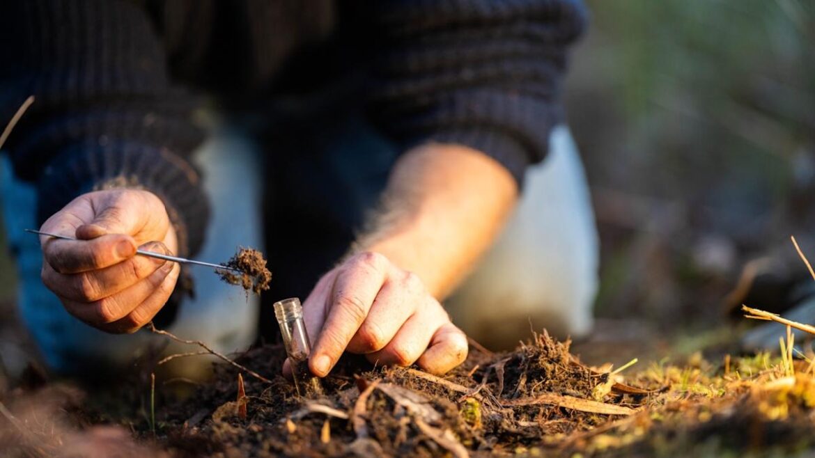 Is Your Garden Soil the Problem? Here’s How to Test and Fix It for Spring