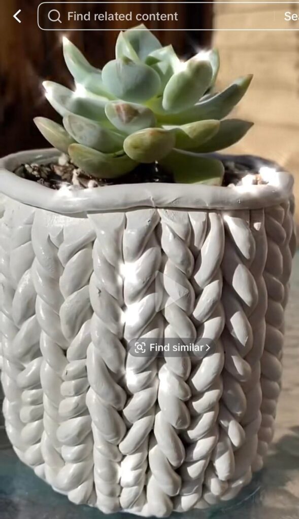 Succulent… how to behead?!