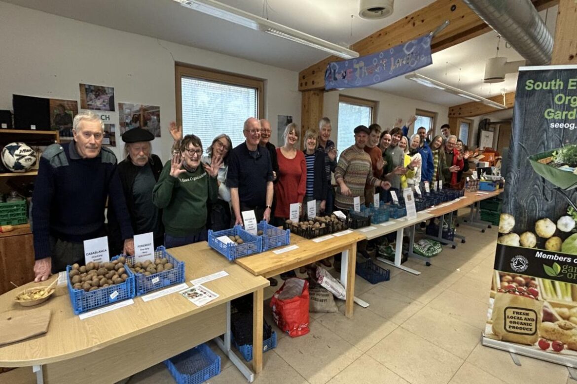 Hundreds flock to annual potato day at therapeutic gardening site in south Essex Hundreds flock to annual potato day at therapeutic gardening site in south Essex
