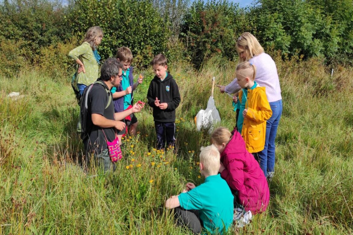 Derelict wasteland transformed into garden of hope in heart of town
