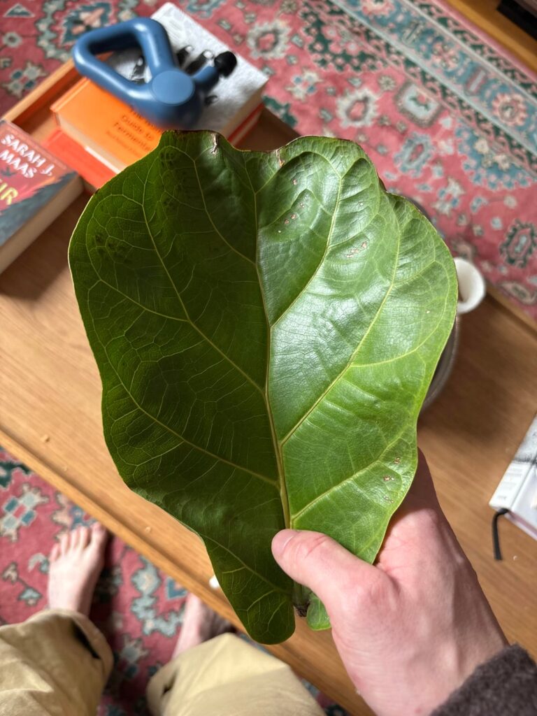 What’s happening 😭😭😭