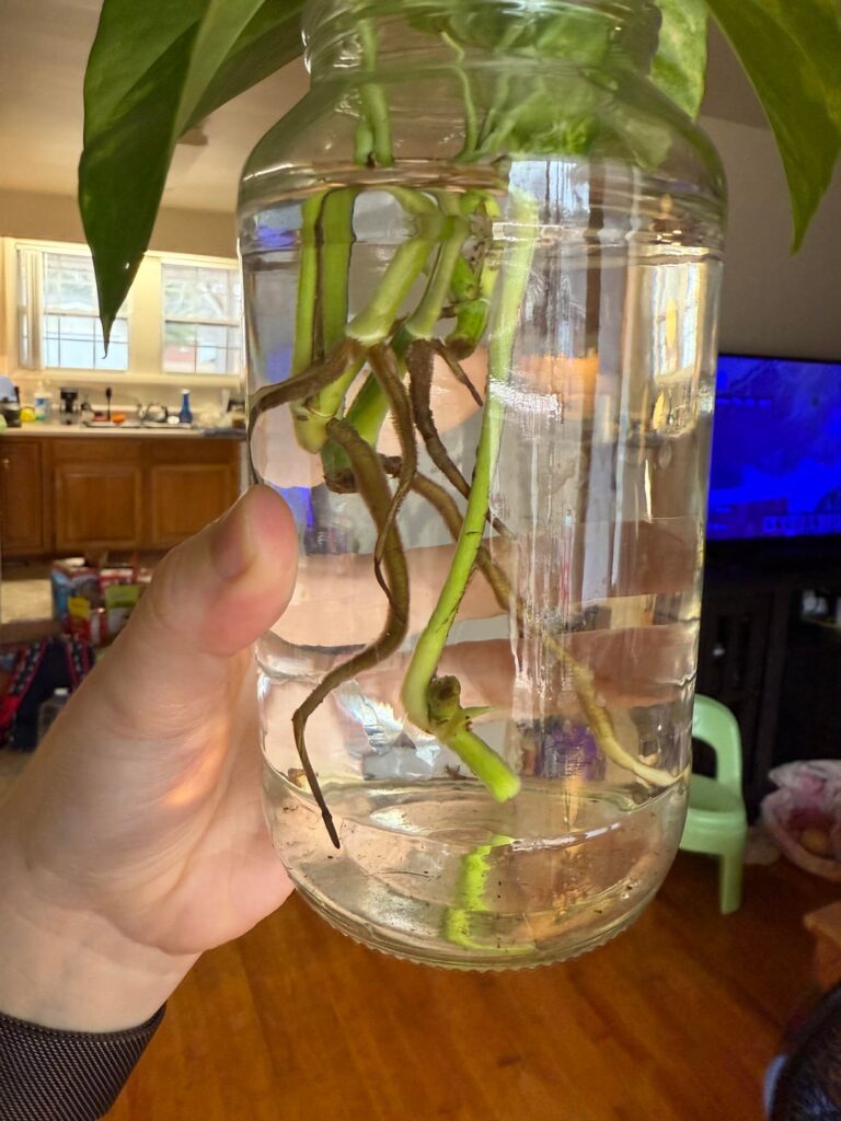 Just a little progress 🥰