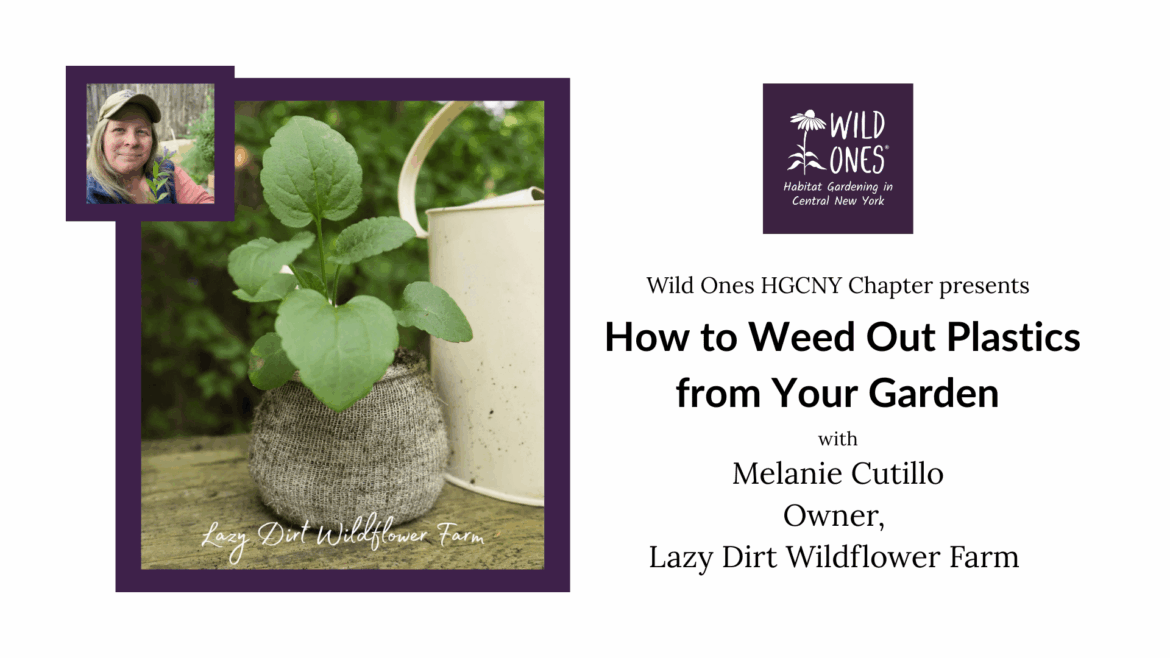 Wild Ones HGCNY Presents: How to Weed Out Plastics from Your Garden - Sunday, February 22 at 1:30pm ET, Liverpool Public Library, 310 Tulip St, Liverpool NY (In-Person + Free Zoom)
