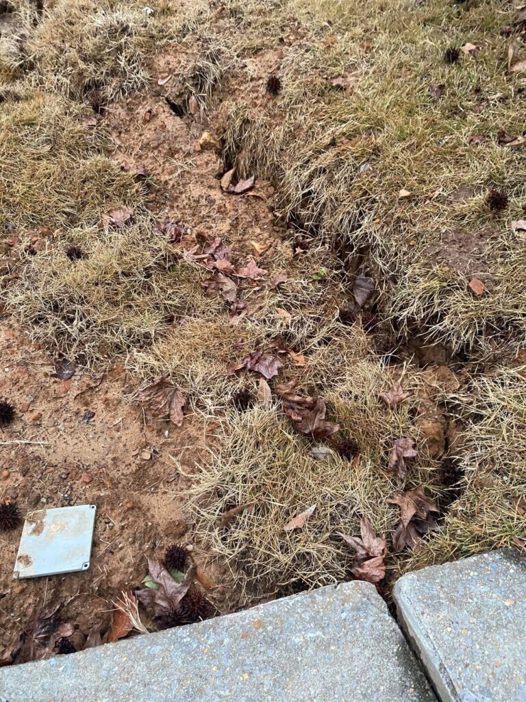 Plumbing aftermath yard repair