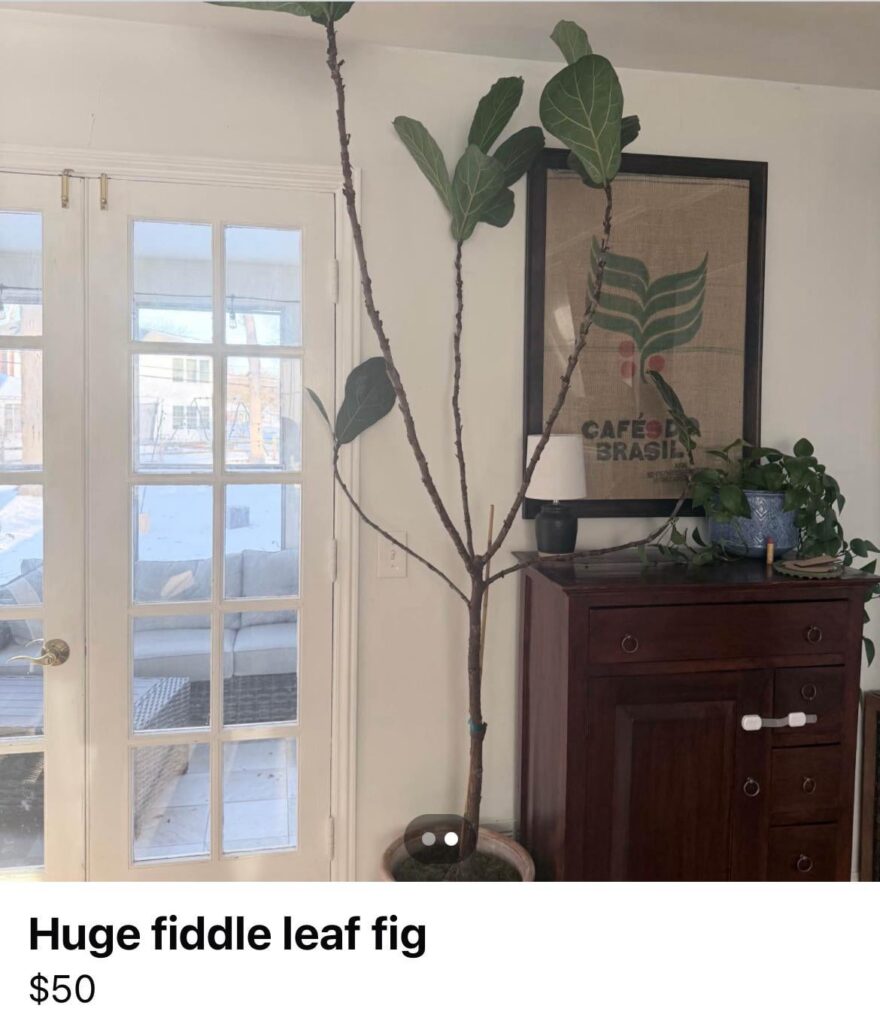 OMG guys should I buy it??