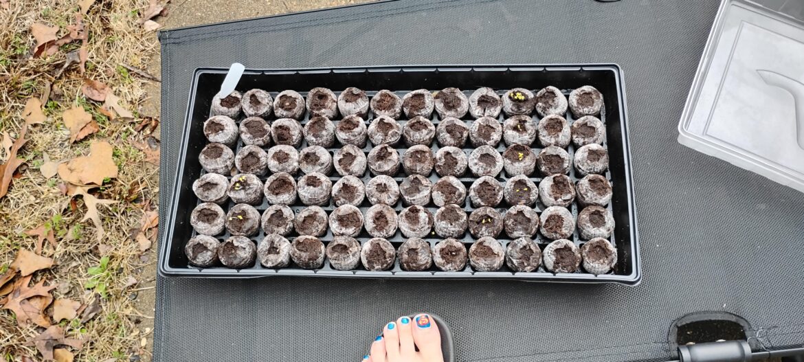 Let the season begin