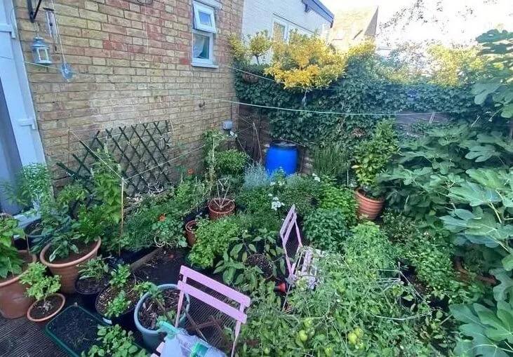 One gardener didn't let his temporary accommodations stop him from doing some impressive gardening with his potted plants.