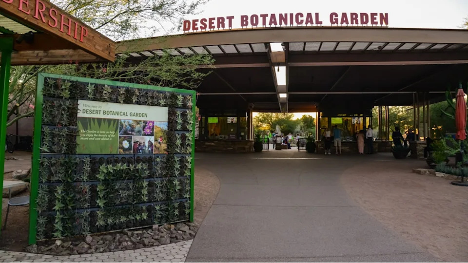 USA, PHOENIX, ARIZONA- NOVEMBER 17, 2019: General view of the entrance to the Phoenix Botanical Garden, Arizona, USA