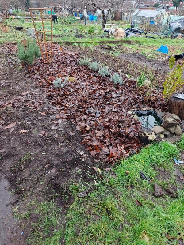 By using leaf mulch, you can maintain healthy garden beds without holding onto garden maintenance implements.