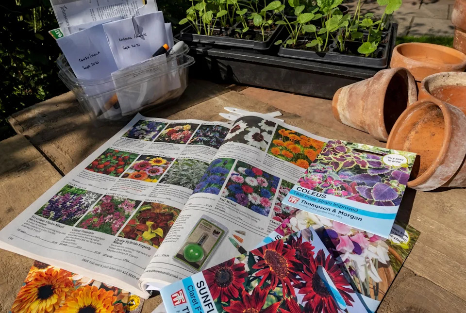 Plant catalogue and seed packets on an outside table (Alamy/PA)