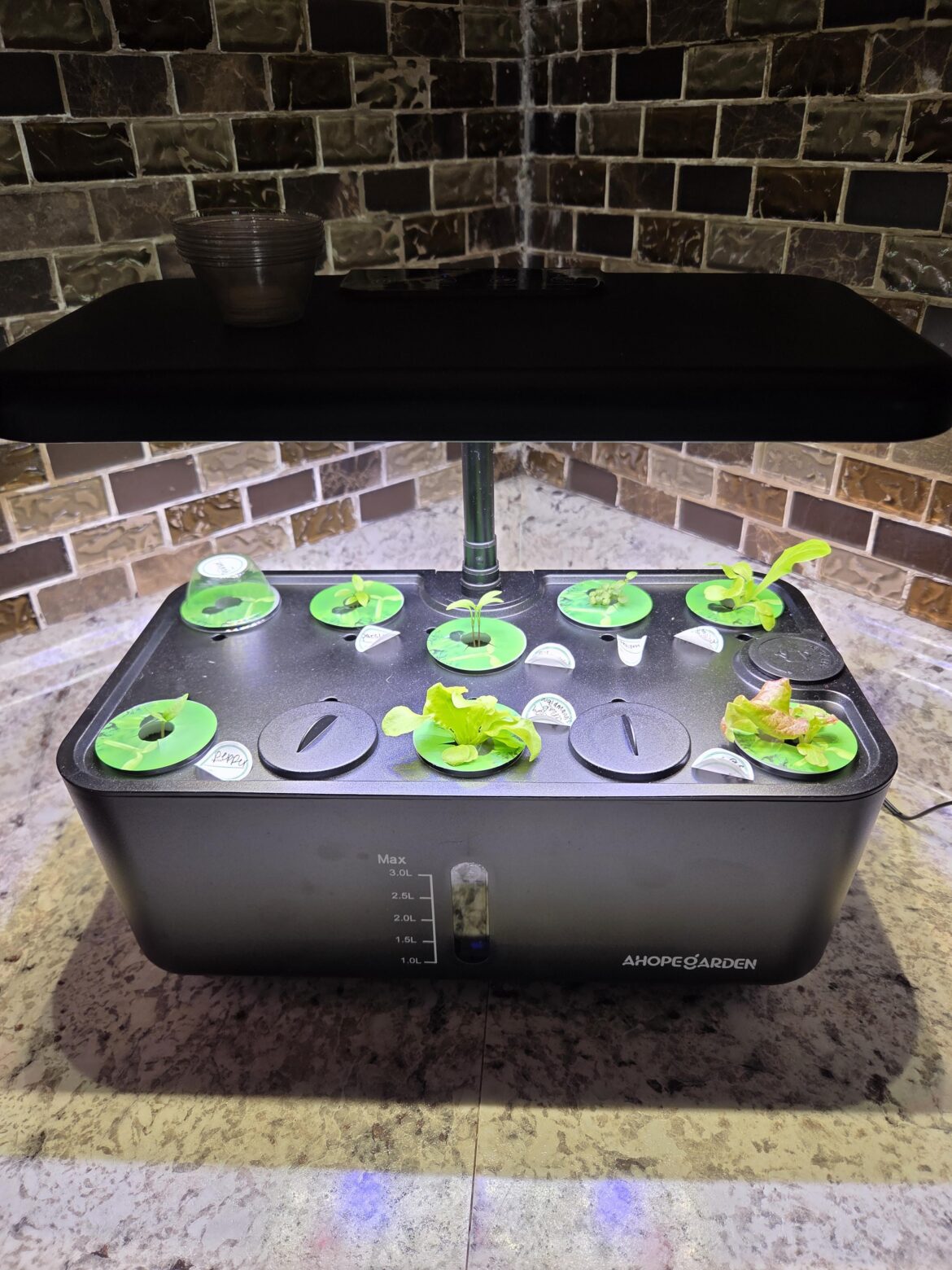 When to change water?