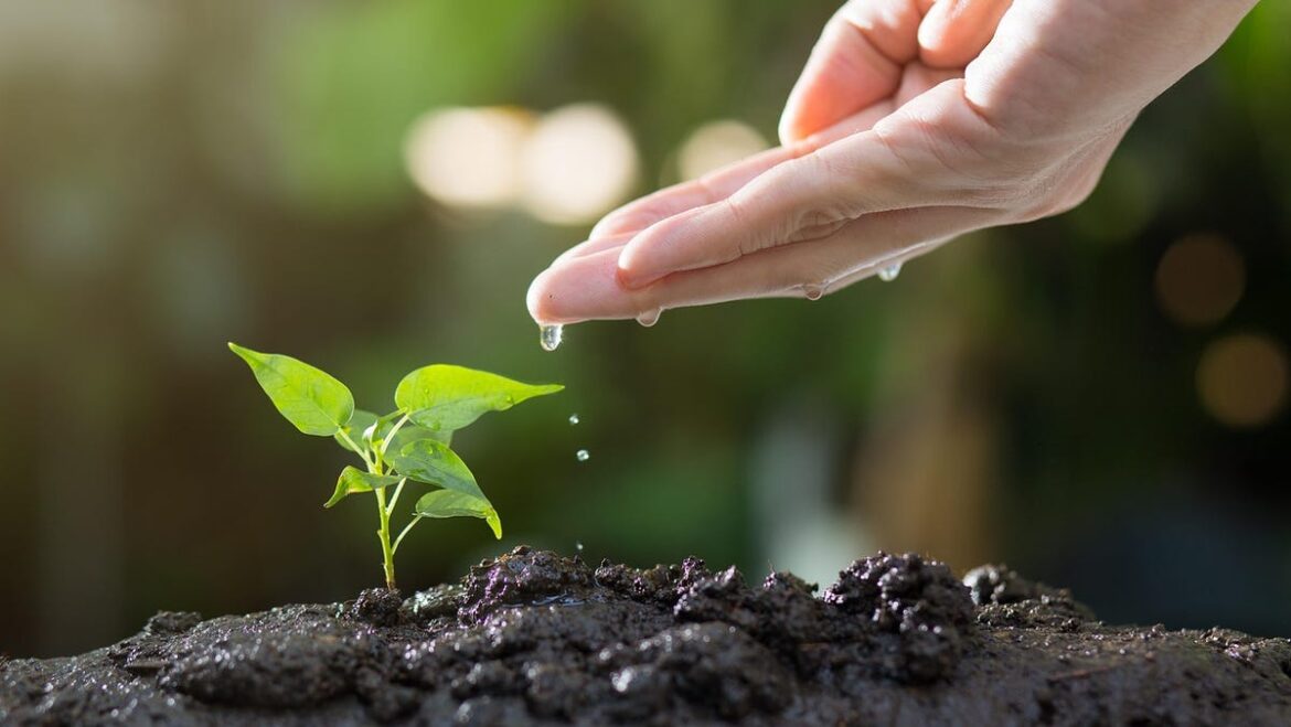 Cape Cod gardeners invited to series at Museum of Natural History