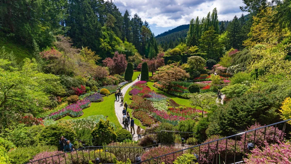 Victoria, Canada - May 04 2025: Sunken Garden at Butchart Gardens on Vancouver Island, Canada