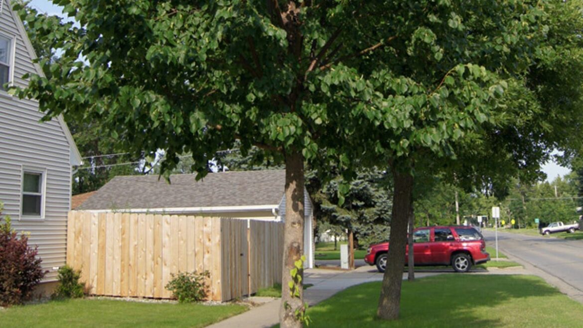 Dakota Gardener: 23 years from now