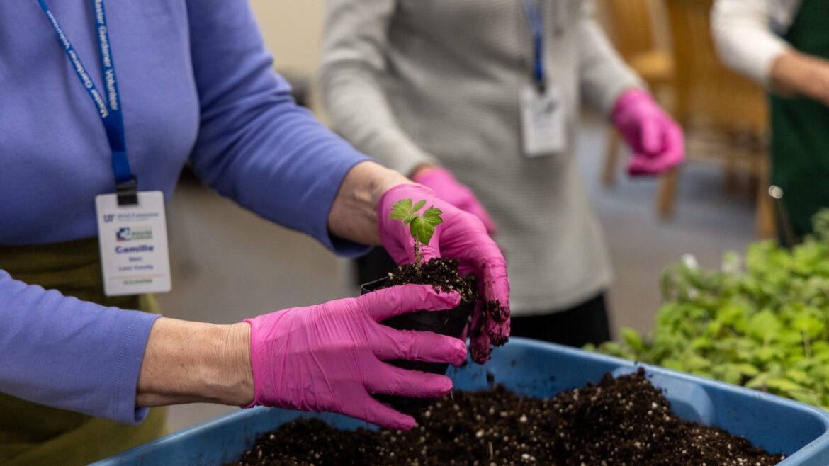 When should you start planting your garden?