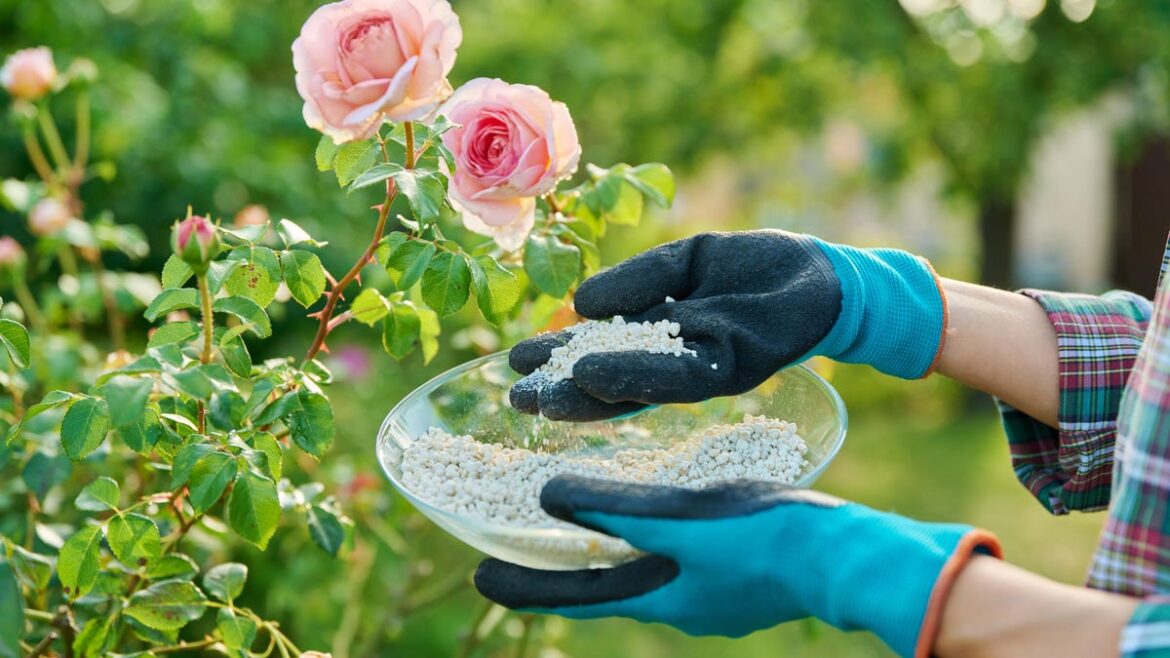 March ‘to-do’ list – Tips on fertilizing, pests and more