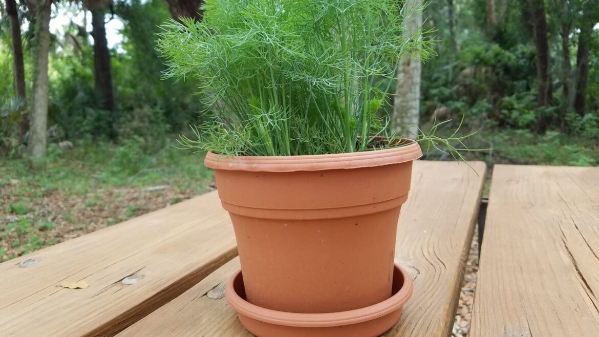 Ready for spring, Brevard gardeners? Add these events to your calendar