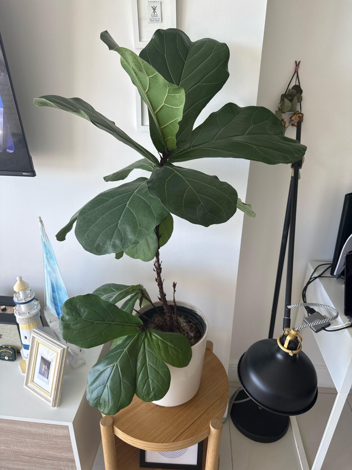 Should I do something about this?