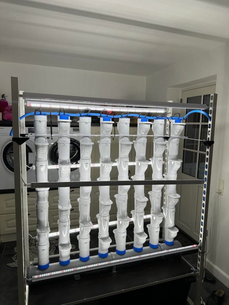 Vertical NFT project 💧🥬