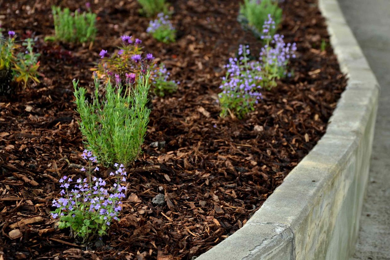 Credit: Getty Images