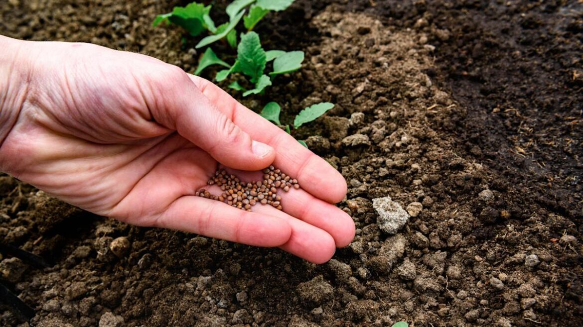 Ready To Get Started Gardening? Seeds That You Should Think Twice About Starting Early