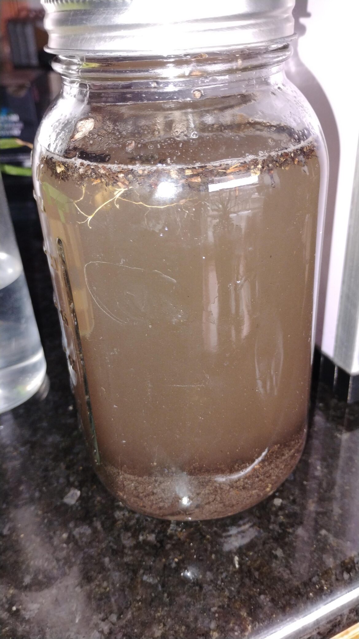 soil and tap water experiment day 1