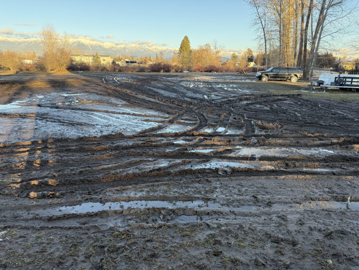 Needs some advice on muddy field!!