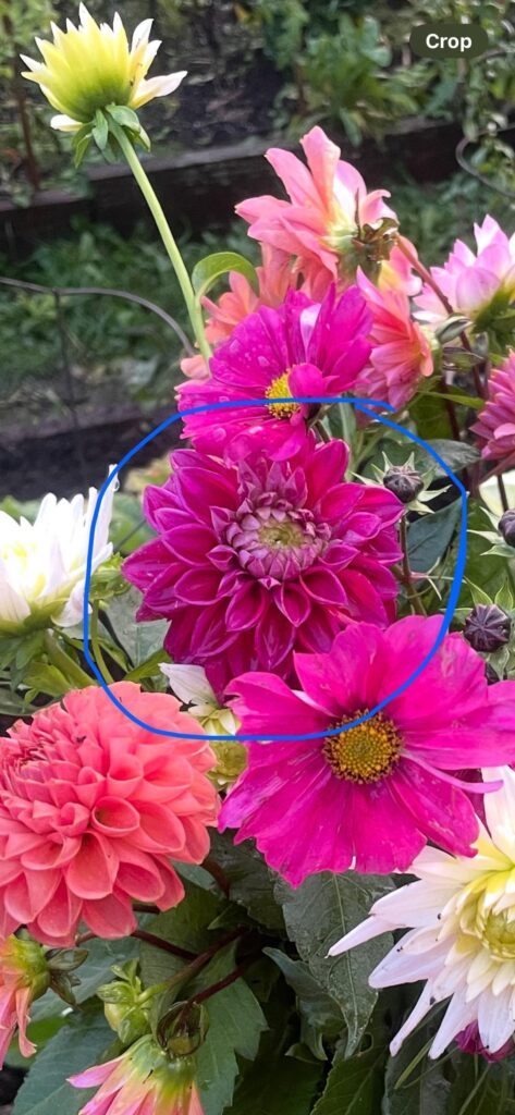 Does she have a name? ๐ธ Does she have a name? ๐ธ