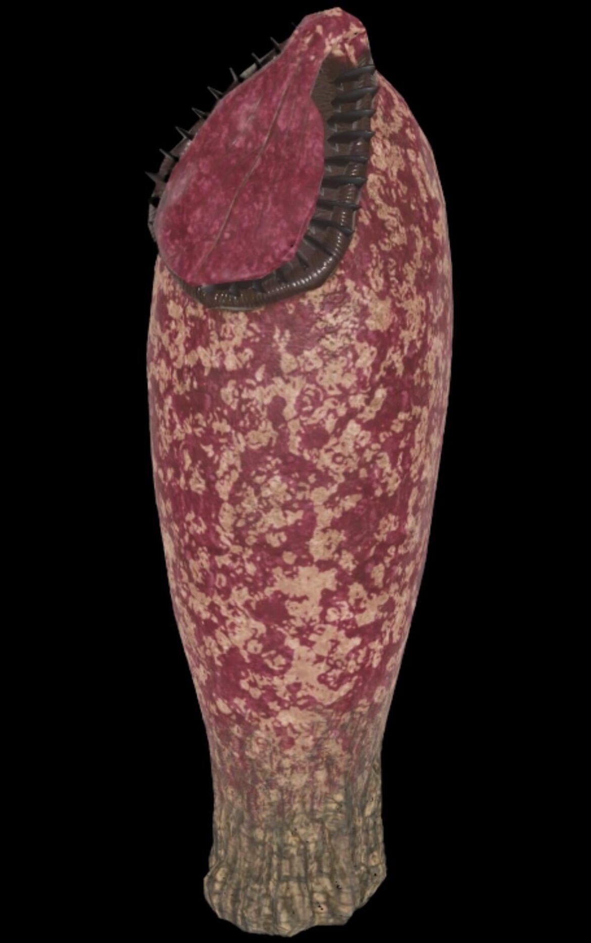 What species is the pitcher plant in fallout 76?