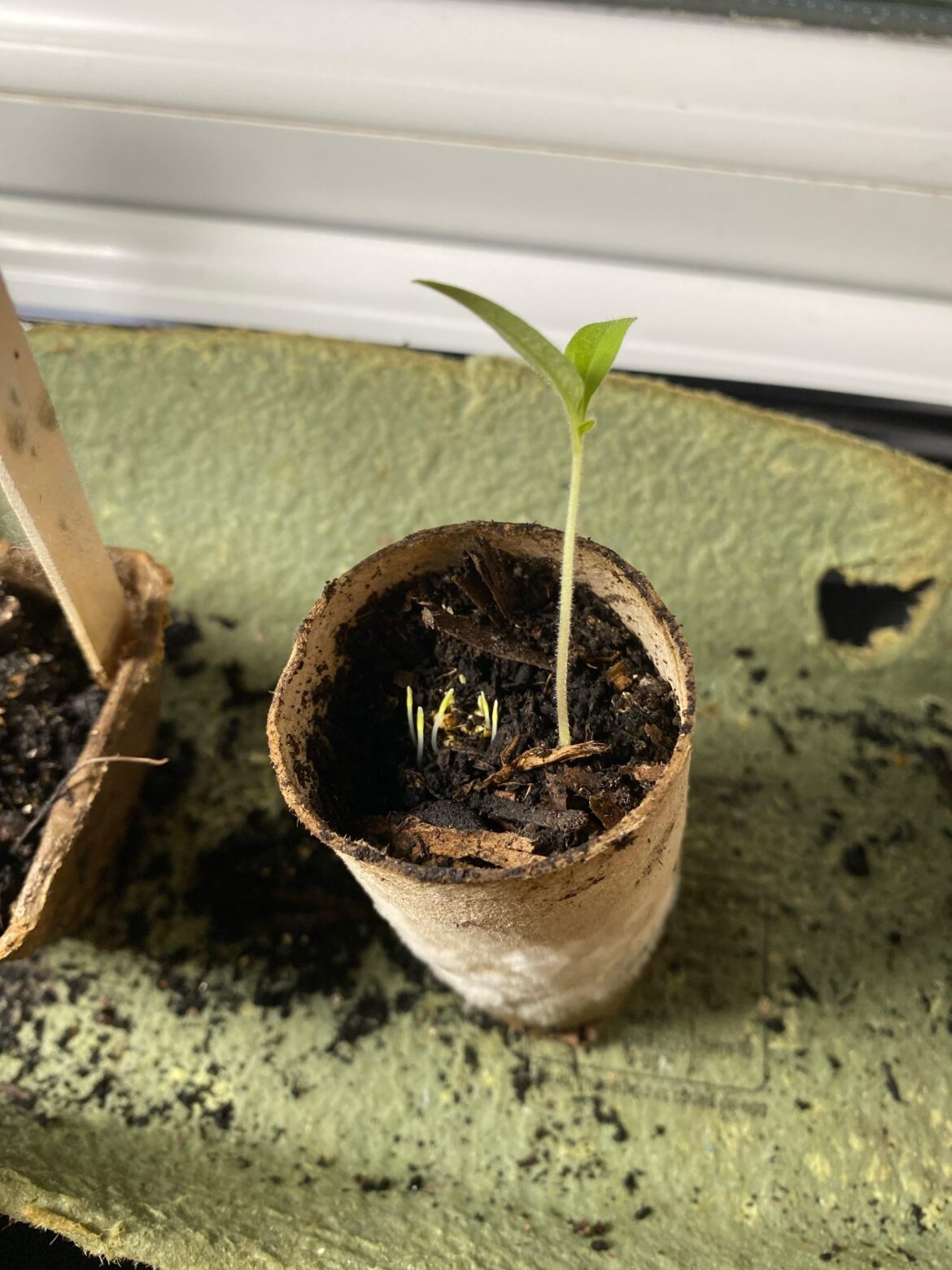 What’s up with this?