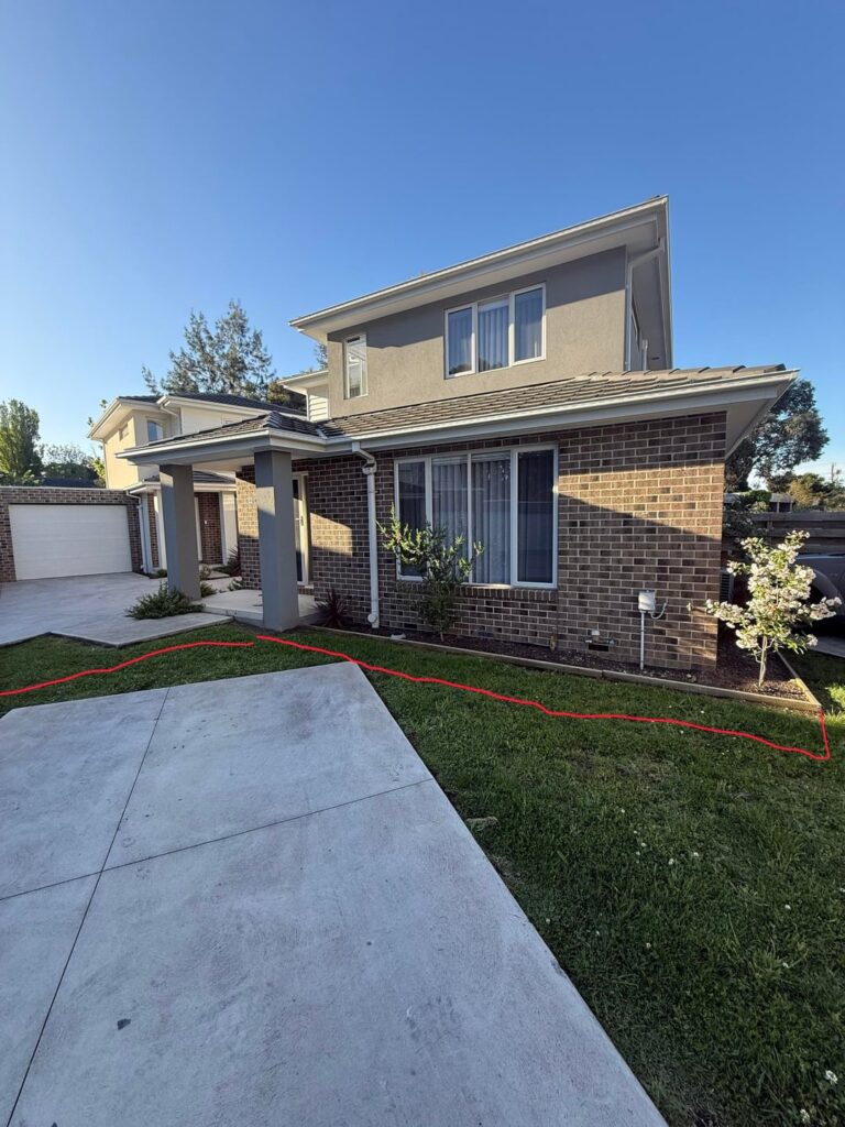 Looking for recommendations for screening plants on south facing garden bed