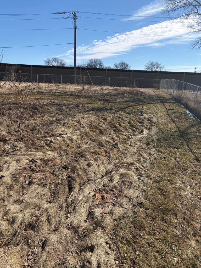 Should a do a full mow at the start of the growing season? Should a do a full mow at the start of the growing season?