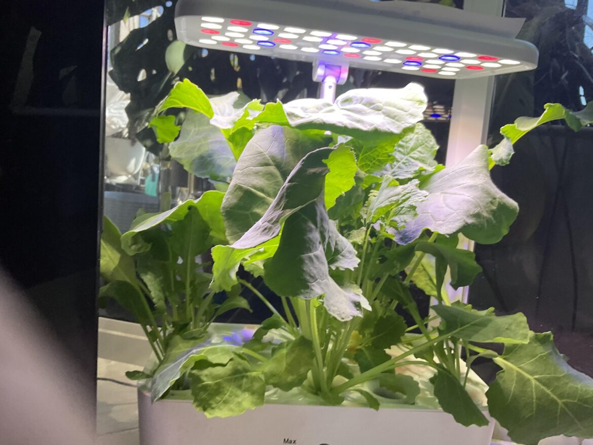 I think this is working a little too well…