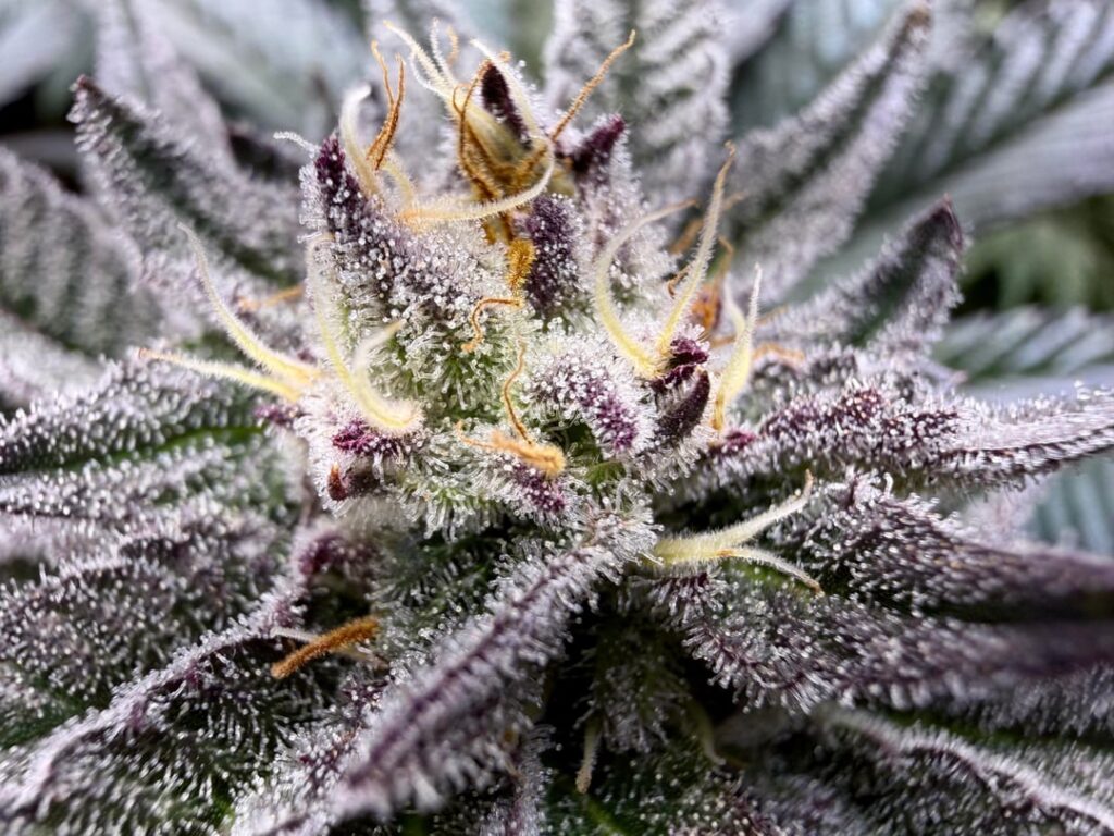 I just love the way she looks