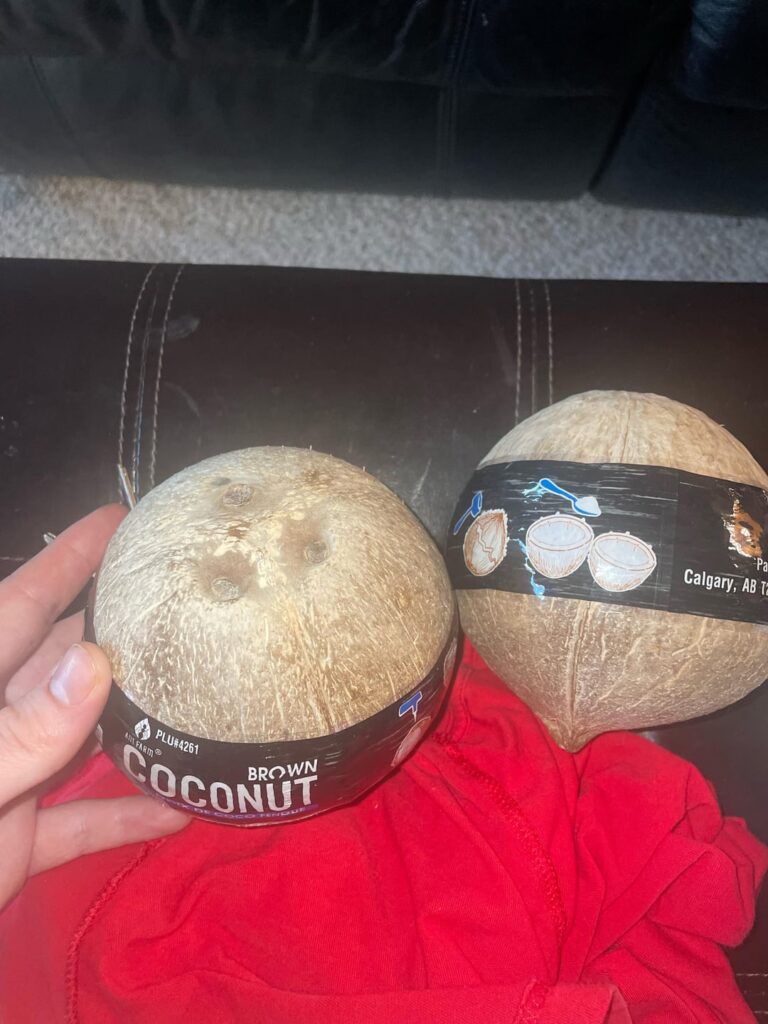question: will these store bought coconuts germinate?