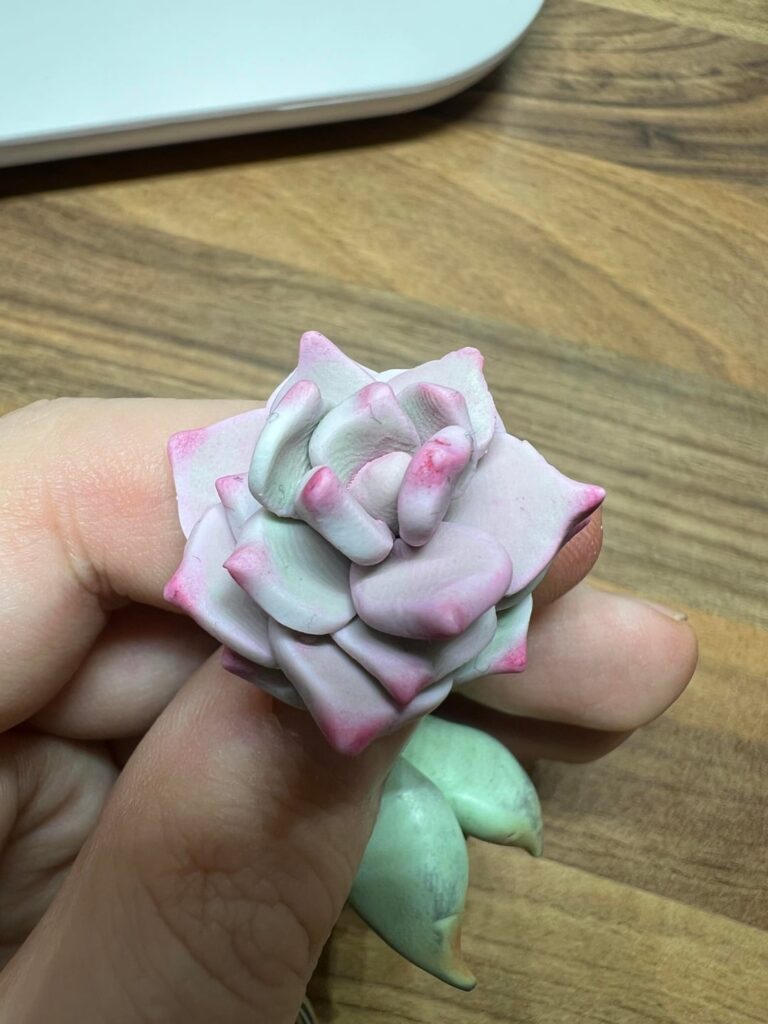 I tried making an Echeveria Lola for my keychain
