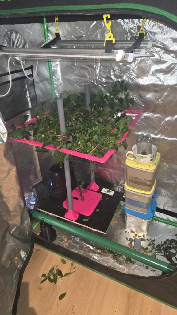 Current setup, just build the scrug frame any comments?