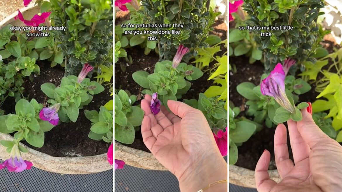 'I have been doing this wrong all these years'