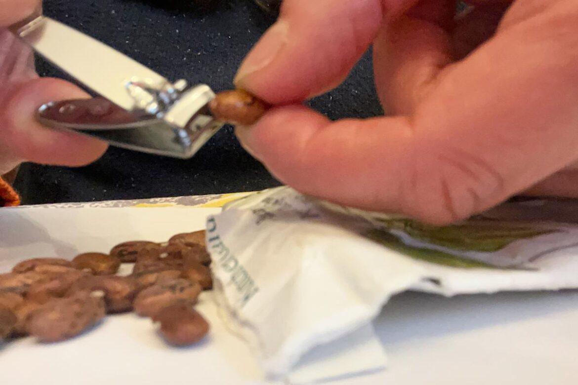 The simple seed-starting trick that helps tough-coated seeds sprout faster