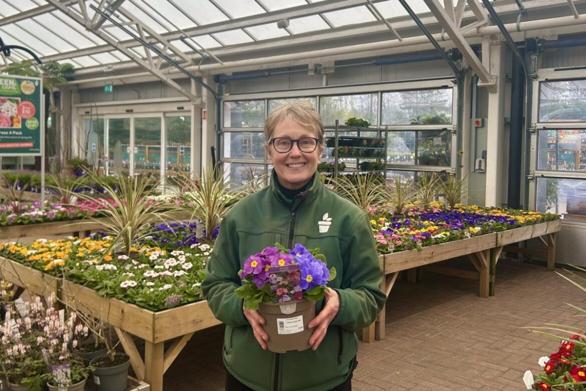 North Yorkshire garden centres celebrating spring with a splash of colour