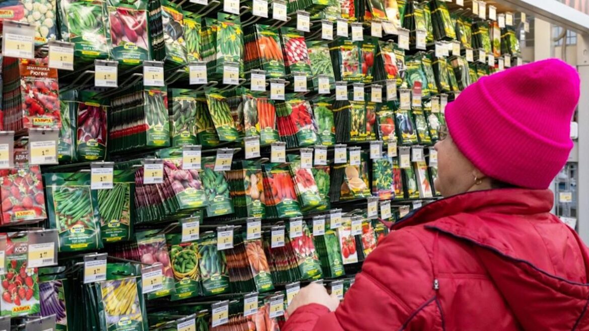 Why Seed Swaps Have Become the Most Popular Winter Gardening Tradition Why Seed Swaps Have Become the Most Popular Winter Gardening Tradition