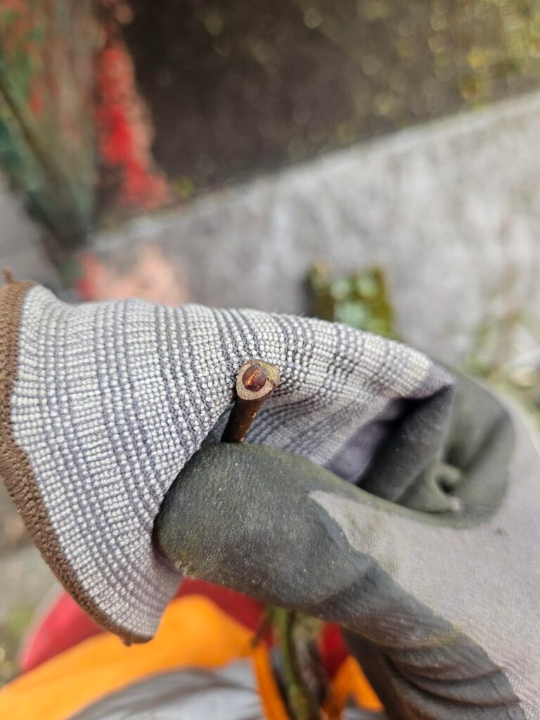 Help cand identify what this can be