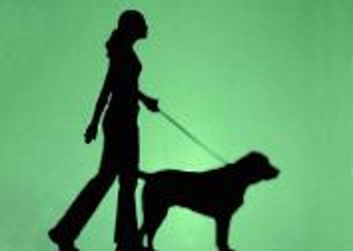 Dog poo in bags has been thrown into a Powys care home’s garden or left on a high street Supporting image for story: Dog poo in bags has been thrown into a Powys care home’s garden or left on a high street