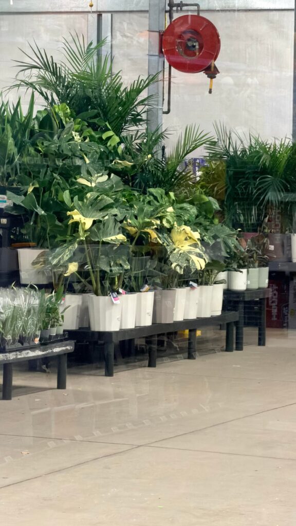 Gotta love Walmart at 9 PM